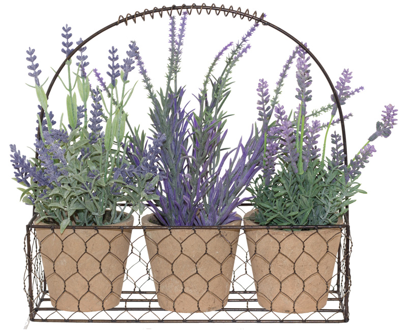 LAVENDER IN POT/METAL BASKET 24X24