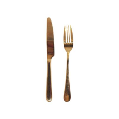 GOLD STARTER KNIFE AND FORK SET 2 PVD COATED