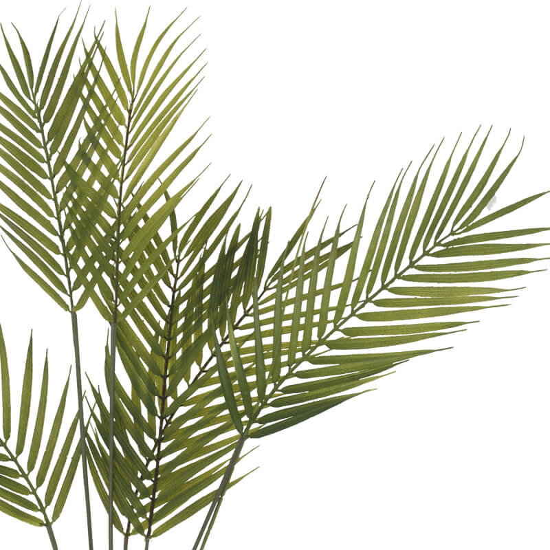 PALM BUNCH 80CM - Image 2