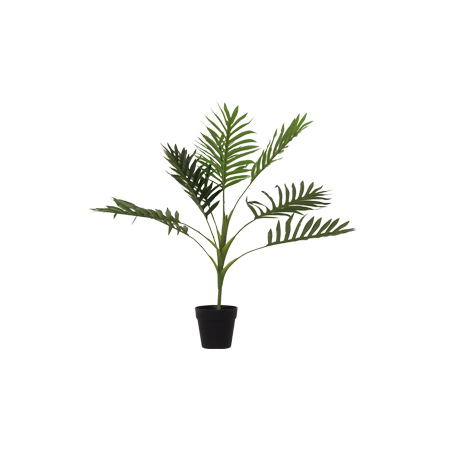 POTTED FERN 60CM