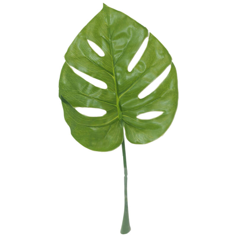 DELICIOUS MONST LIGHT LEAF21X17.5 - Image 2