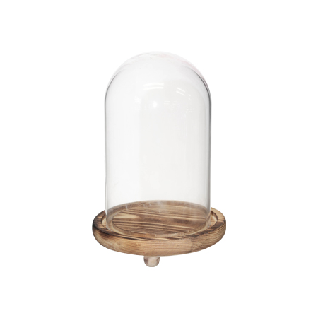 DISPLAY DOME WITH BASE 20X15CM