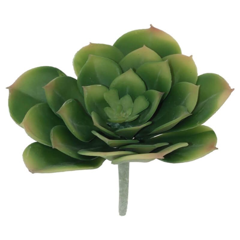 GREEN DESERT ROSE 11X13CM