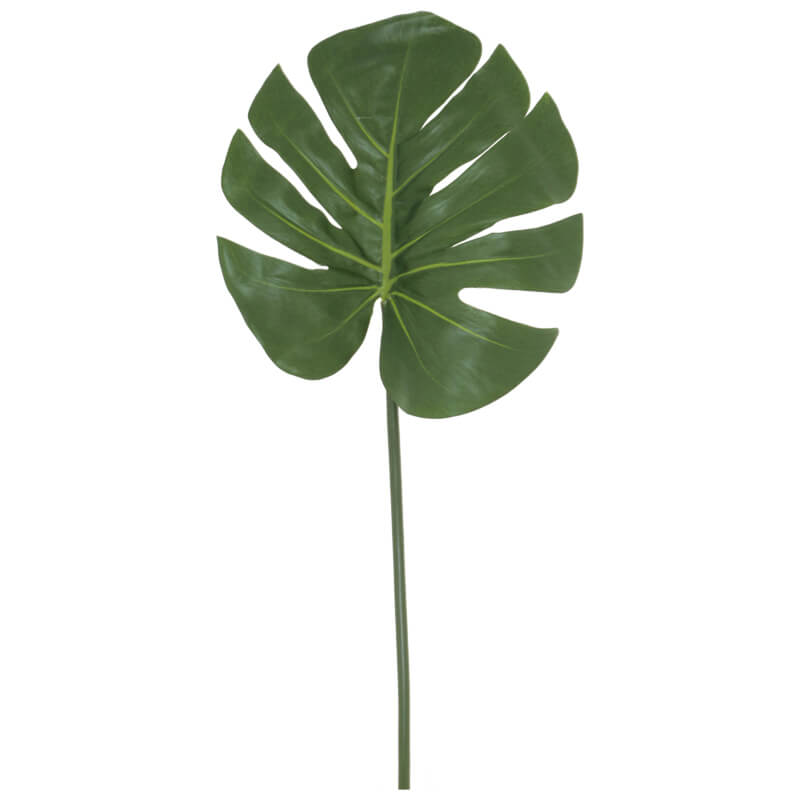 DELICIOUS MONSTER LEAF 82CM - Image 2