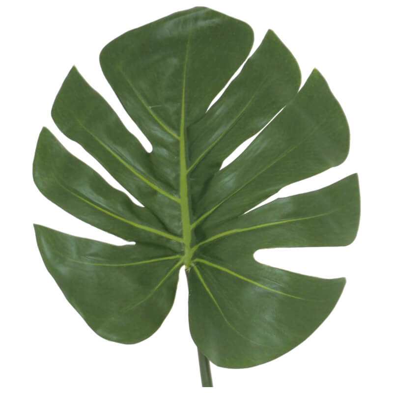 DELICIOUS MONSTER LEAF 82CM