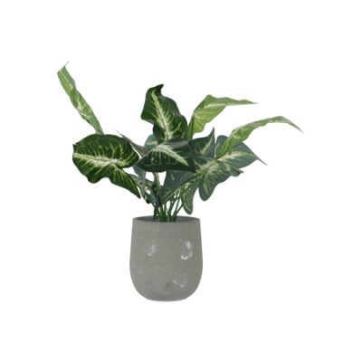 EVERGREEN POTTED PLANT 42CM