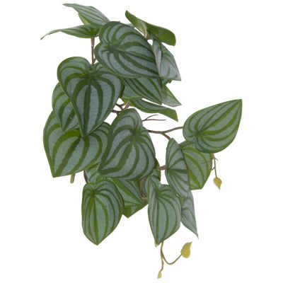 POTHOS PLANT LEAF STEM 23CM