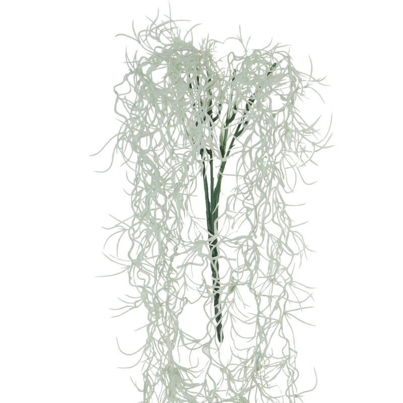 SPANISH MOSS STRING 90CM