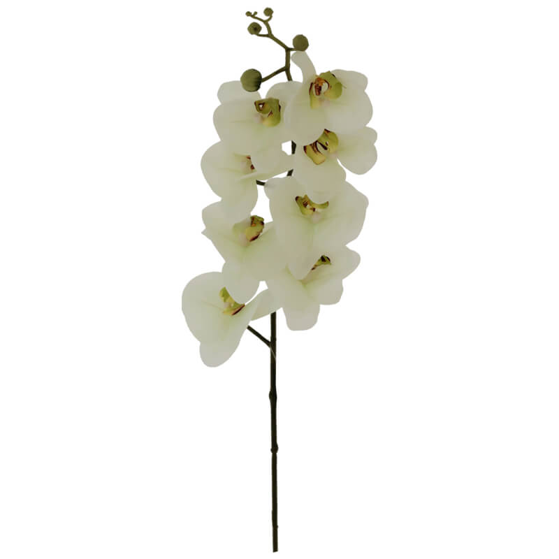 GREEN ORCHID 88CM - Image 2