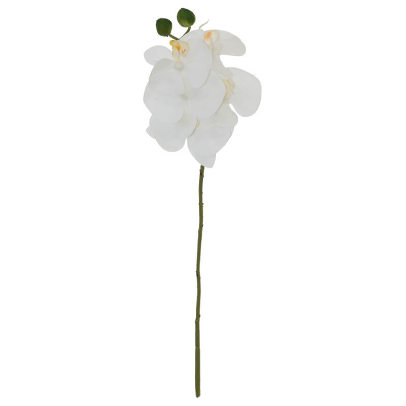 WHITE ORCHID 44CM - Image 2