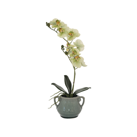 GREEN ORCHID IN GREY POT 40CM