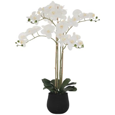 WHITE ORCHID 90CM