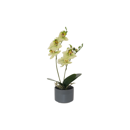 LIME GREEN REAL TOUCH ORCHID 28CM