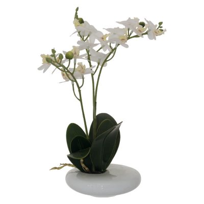 WHITE REAL TOUCH ORCHID 30CM