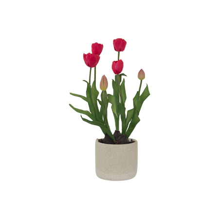 RED TULIP SPRAY IN POT 44CM