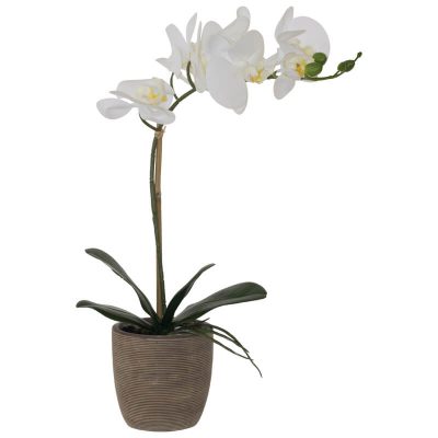 WHITE REAL TOUCH ORCHID 51CM LINED POT
