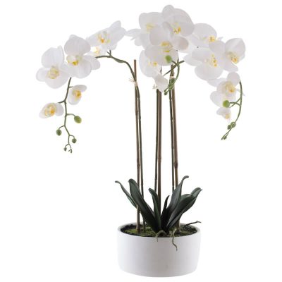 REAL TOUCH WHITE ORCHID IN POT 60