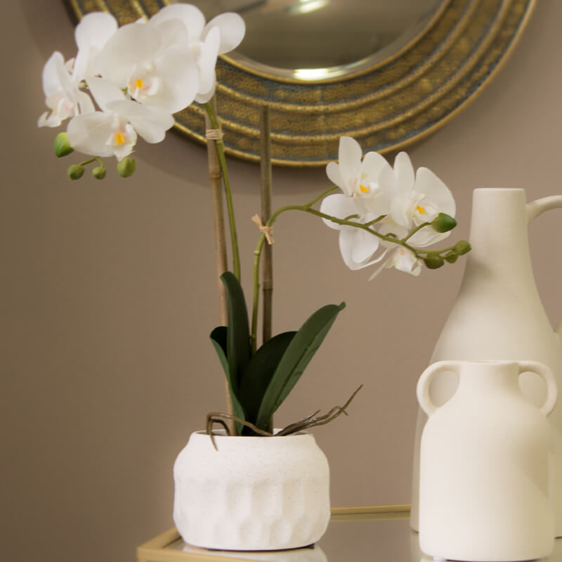WHITE ORCHID IN POT 46CM - Image 2