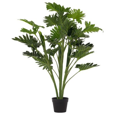 DELICIOUS MONSTER IN POT 95CM