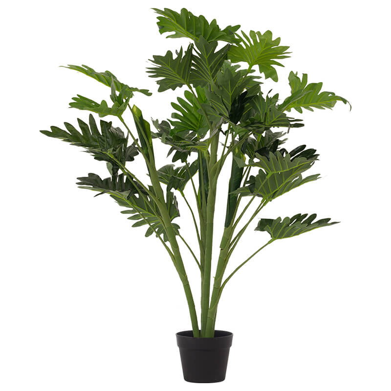 DELICIOUS MONSTER IN POT 95CM