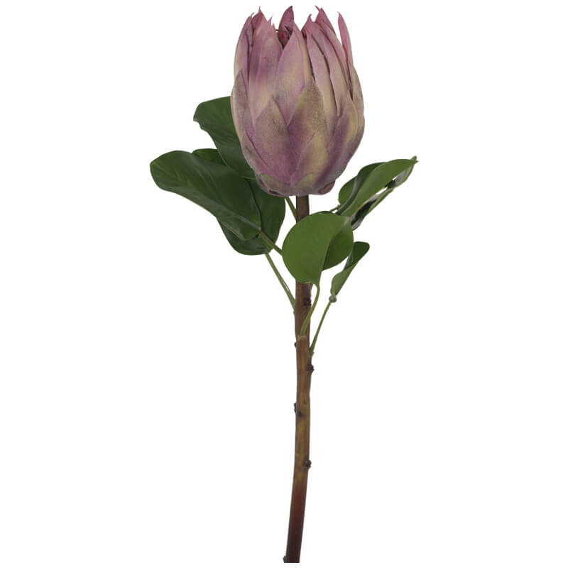 PINK MEDIUM PROTEA 67CM - Image 2