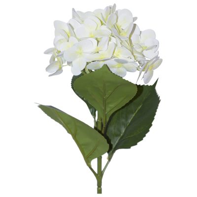CREAM HYDRANGEA STEM 68CM