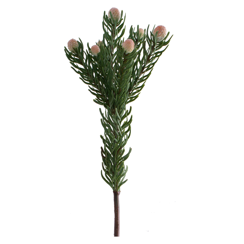 PINK SNOWBERRY FYNBOS 71CM - Image 2