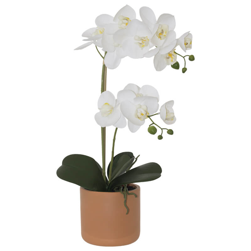 WHITE REAL TOUCH ORCHID 52CM TERRACOTTA POT