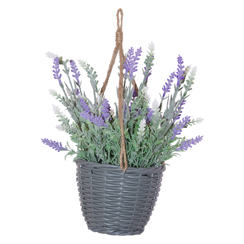 LAVENDER IN HANGING POT 27CM H