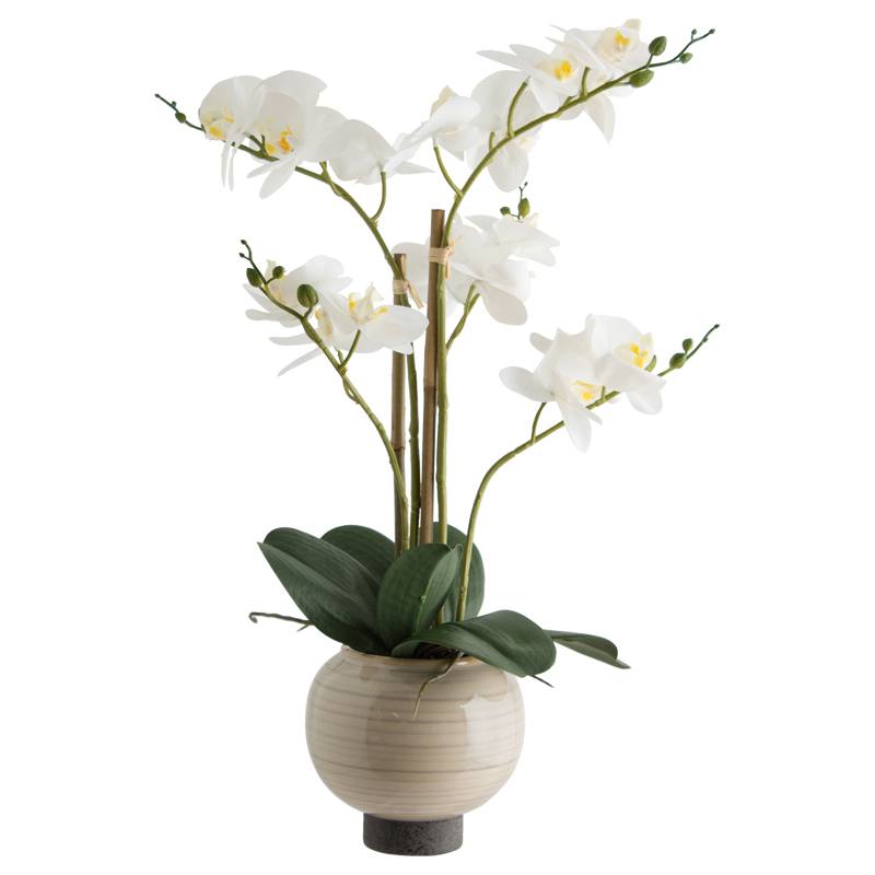 WHITE REAL TOUCH ORCHID IN POT 51