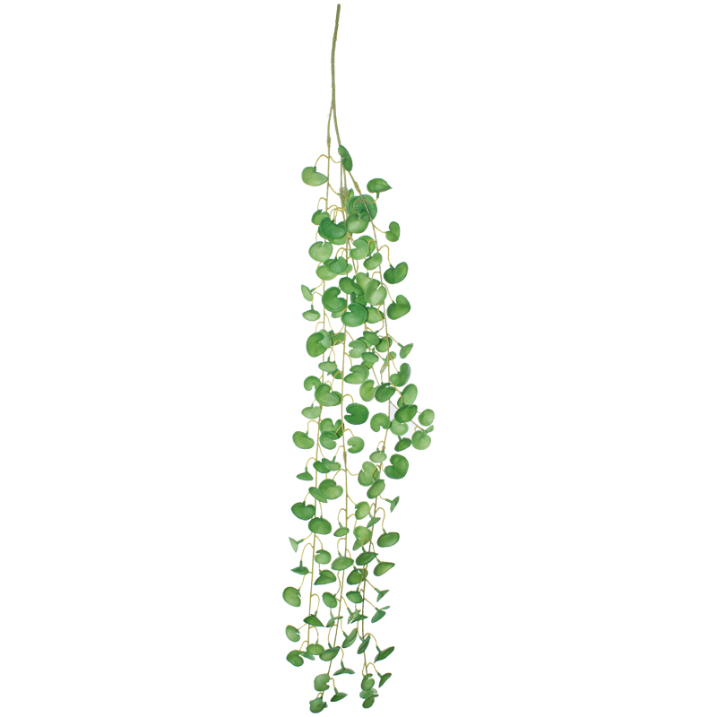 COIN LEAF GREEN HANGING PLANT 90C - Image 2