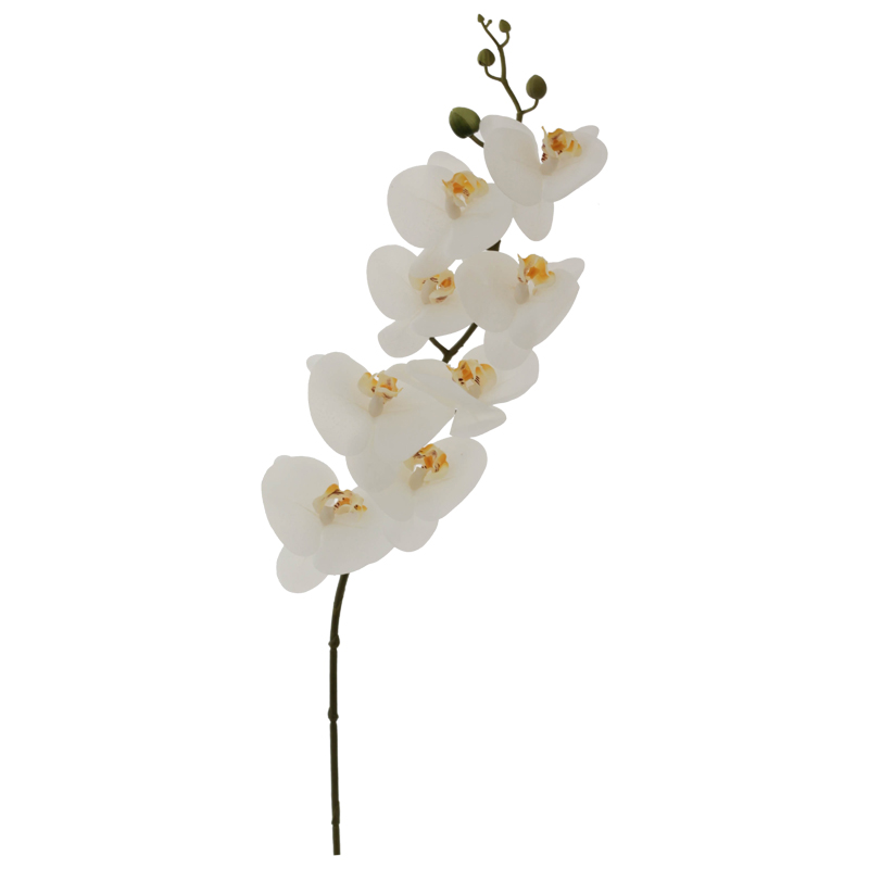 WHITE ORCHID 88CM - Image 2