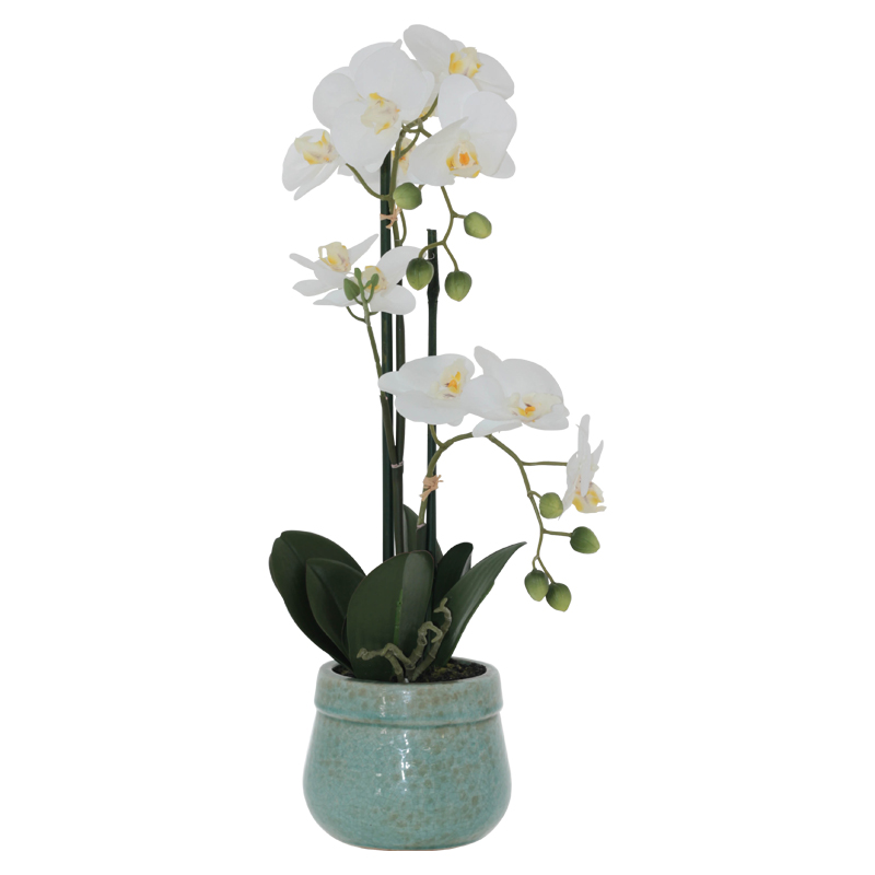GREEN POT WHITE ORCHID 55CM