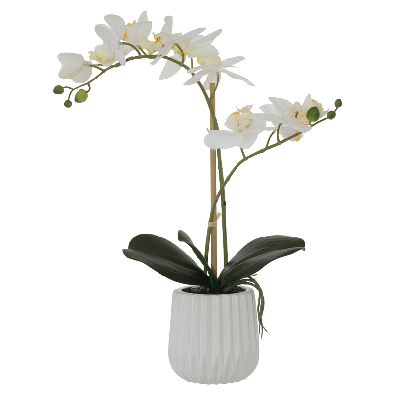 WHITE REAL TOUCH ORCHID 53CM