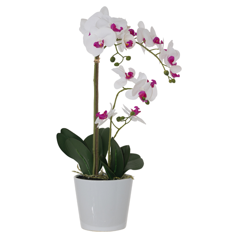 WHITE REAL TOUCH ORCHID 58CM