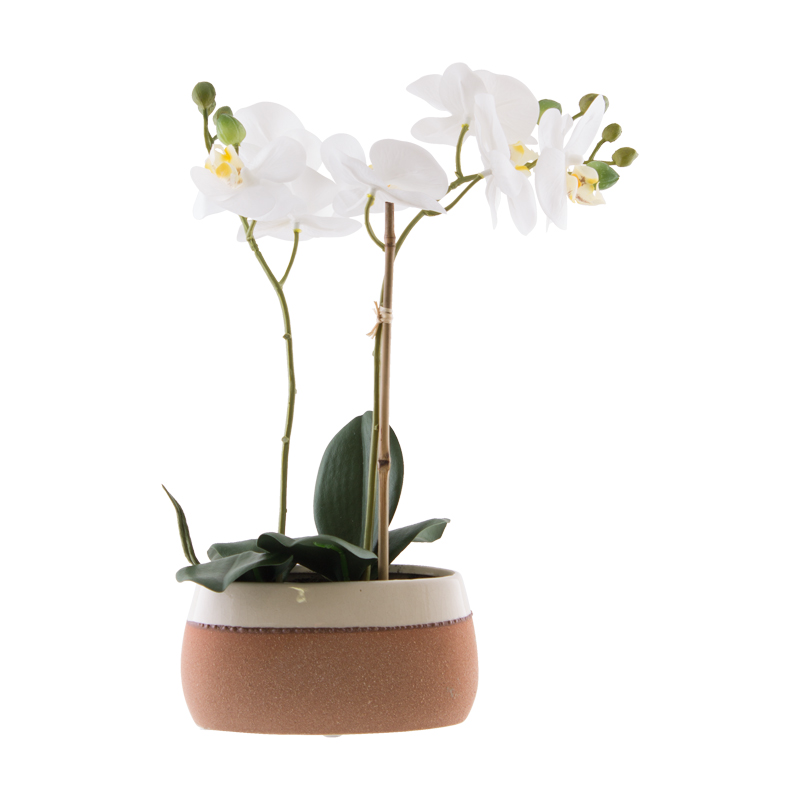 WHITE ORCHID IN CERAMIC POT 38CM