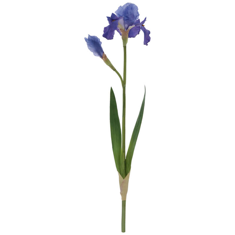 DARK BLUE IRIS 67CM - Image 2