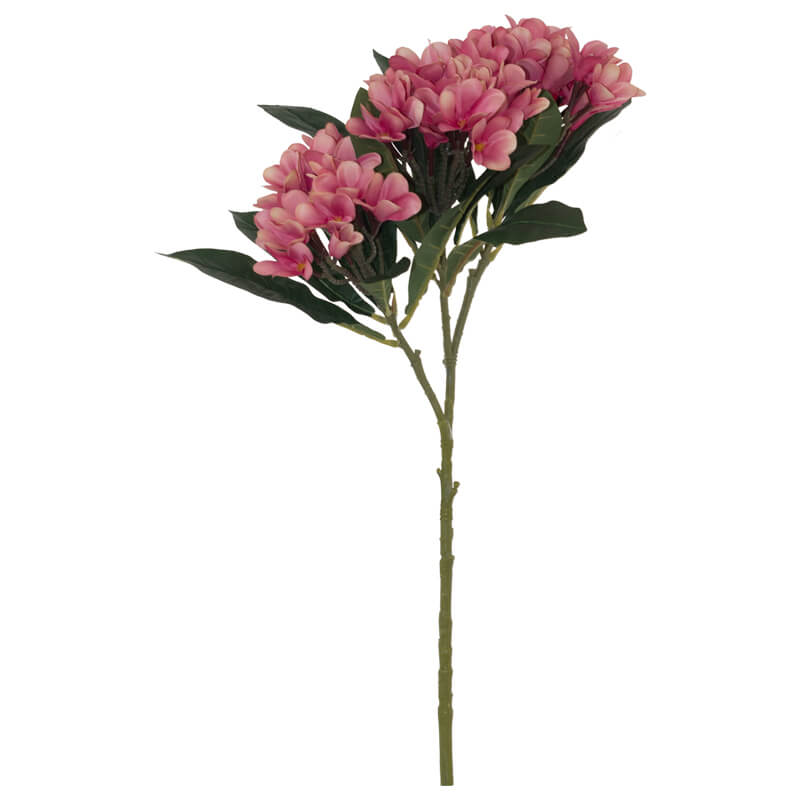 PINK FRANGIPANI 82CM - Image 2