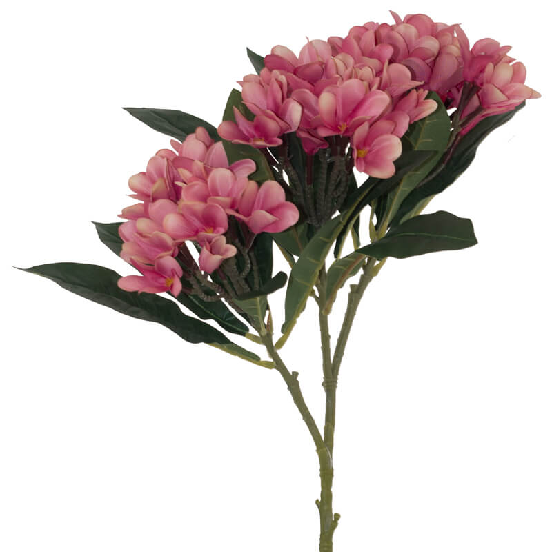 PINK FRANGIPANI 82CM