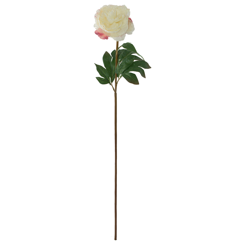WHITE PEONY 74CM - Image 2