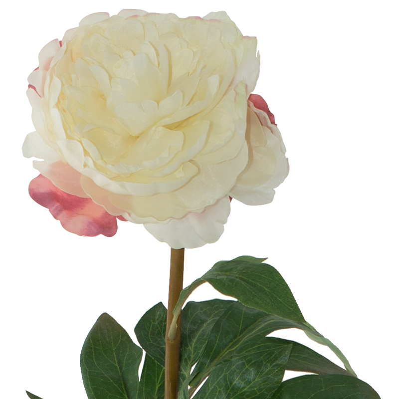 WHITE PEONY 74CM