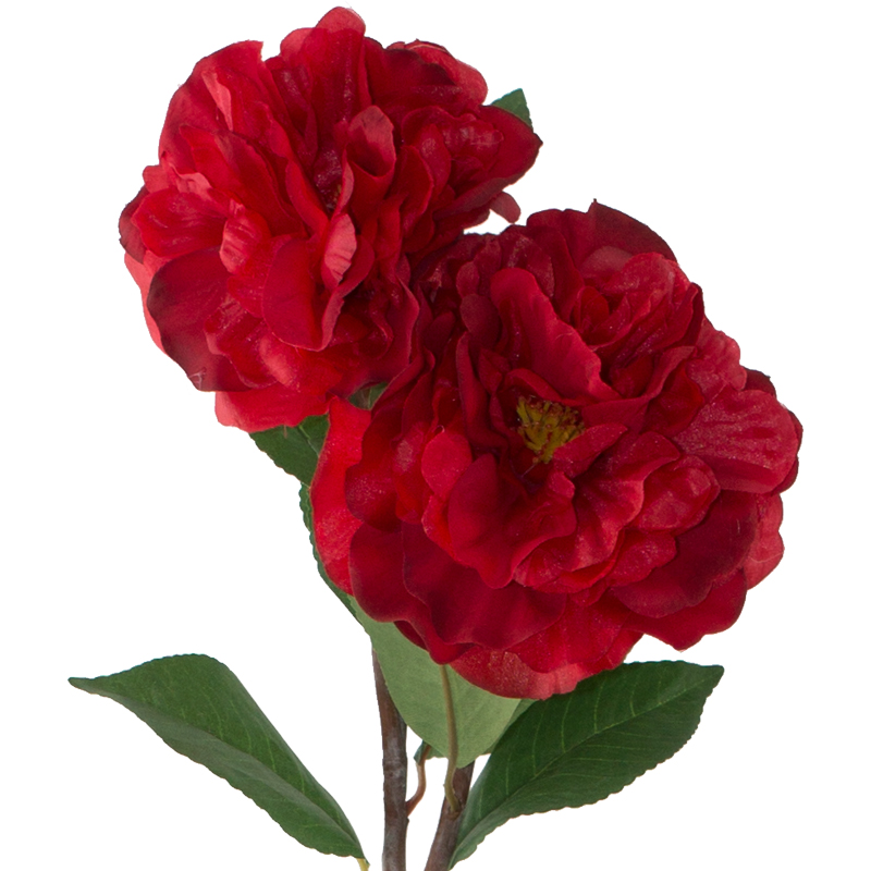 RED CAMELLIA 74CM