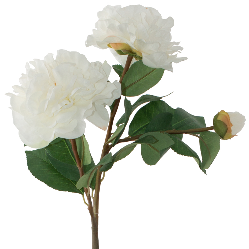 WHITE CAMELLIA 74CM