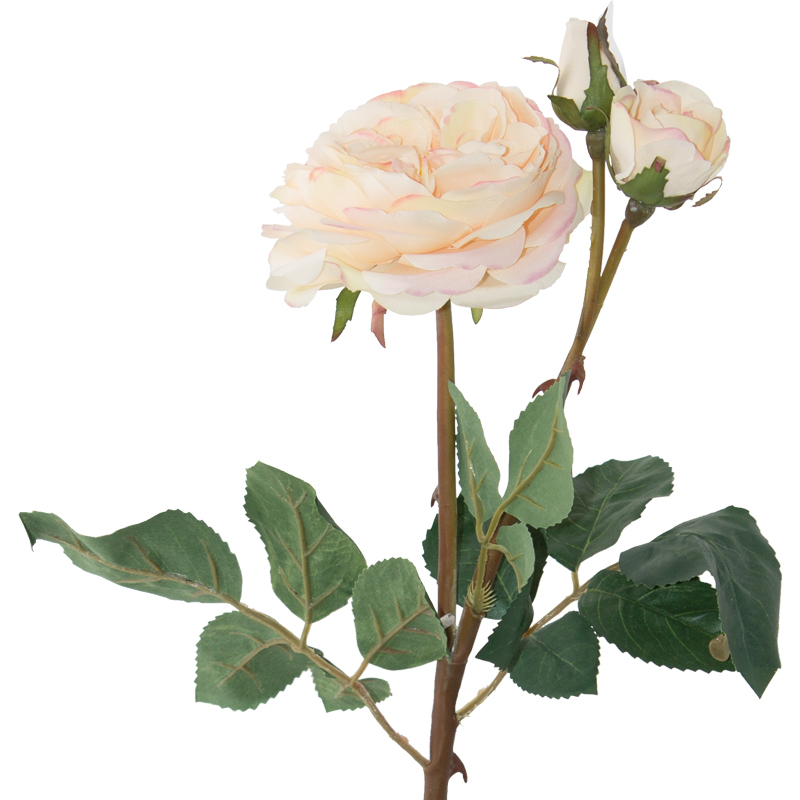 CREAM ROSE 55CM