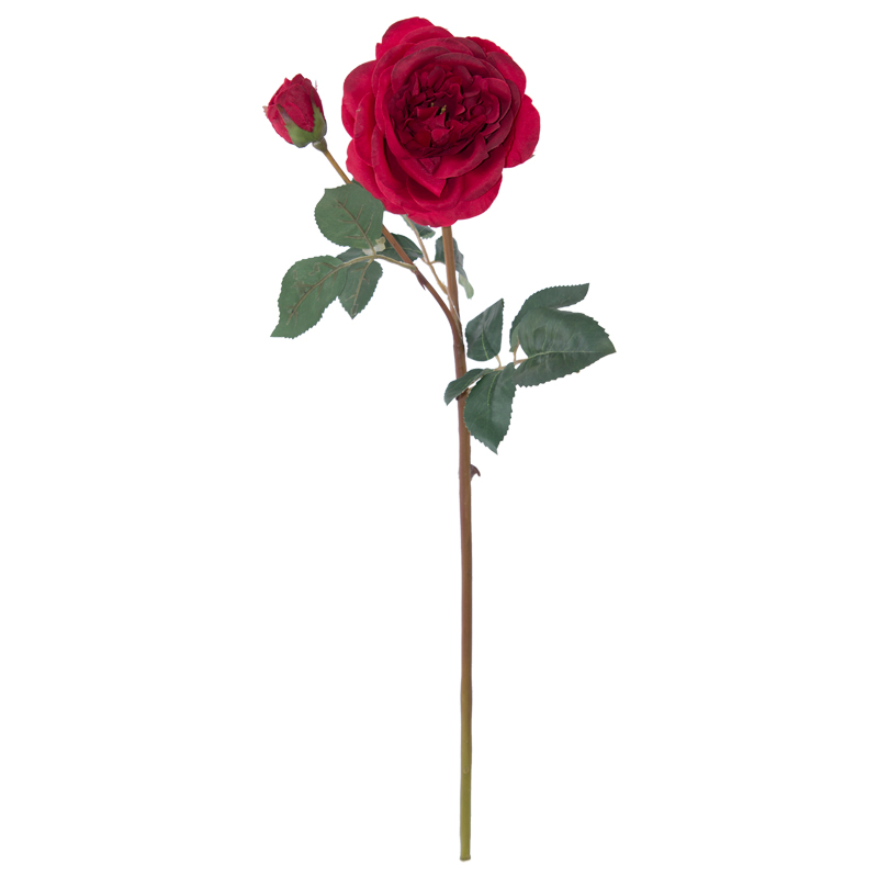RED ROSE 53CM - Image 2