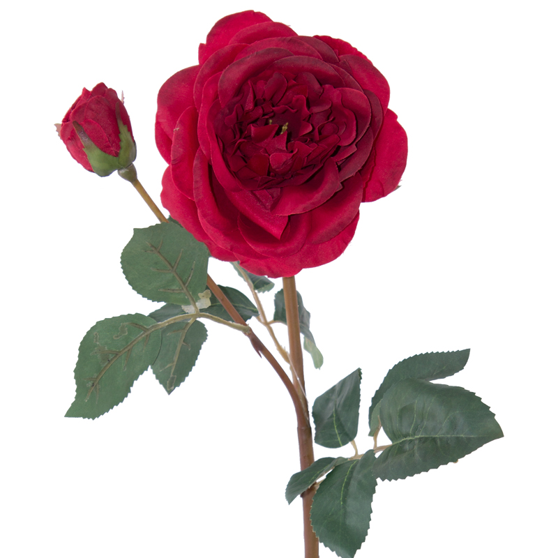 RED ROSE 53CM
