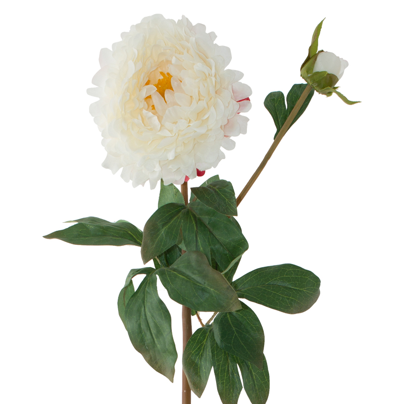 WHITE PEONY 82CM