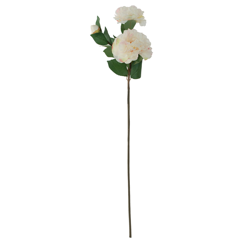 CREAM CAMELLIA 74CM - Image 2