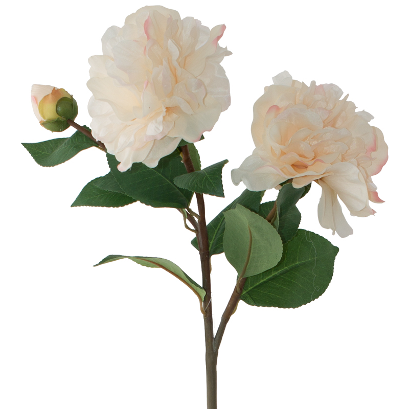 LIGHT PINK CAMELLIA 74CM