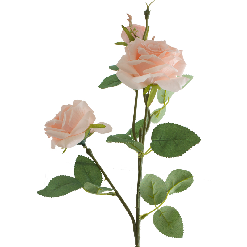 APRICOT ROSE 65CM